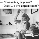 ���� ����, ������, 43 ���� - ��������� 24 ������ 2017 � ������ ������ ��������