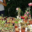 ���� Raisa, ������ - ��������� 3 ���� 2018 � ������ ������ ��������