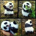 ���� ����, ���������� - ��������� 8 ��� 2018