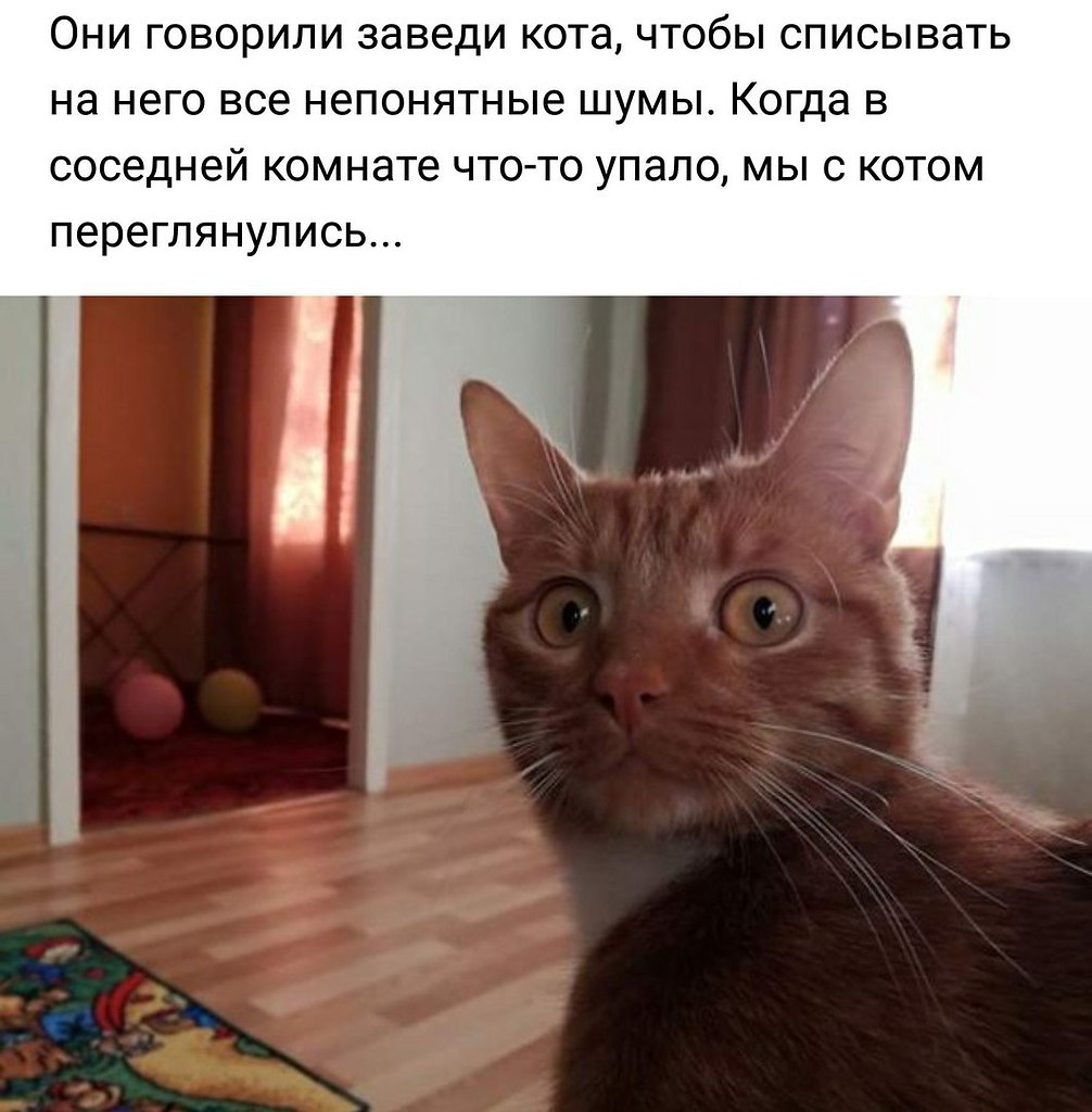       - 7  2018  02:40