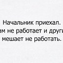 ���� Nic, �������, 42 ���� - ��������� 7 ������ 2018