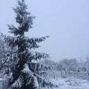 ���� ������, �����������, 37 ��� - ��������� 11 ����� 2018 � ������ ���� ����������