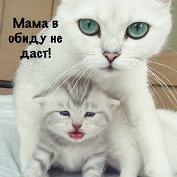 ���� ���, ������, 47 ��� - ��������� 21 ������ 2018