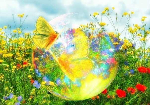 � ������� ������ ���������� ����������� �����: ���� ������� �� ������������ �� ��������� ������ ��� ...