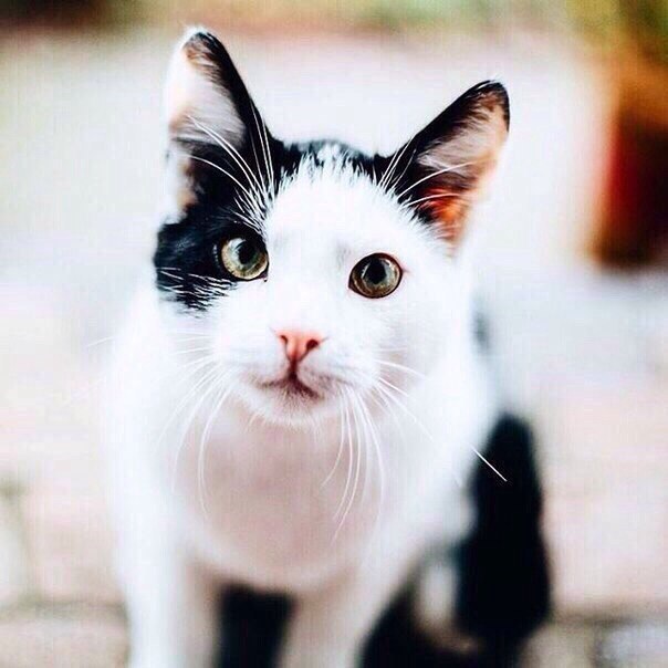       - 16  2018  04:07 - 4