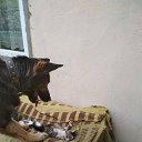 ���� Sergei, �������, 56 ��� - ��������� 11 ���� 2018 � ������ ���� ����������