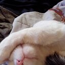  Sergey, , 52  -  11  2018    