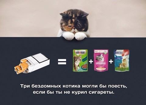    ... - 23  2018  10:05