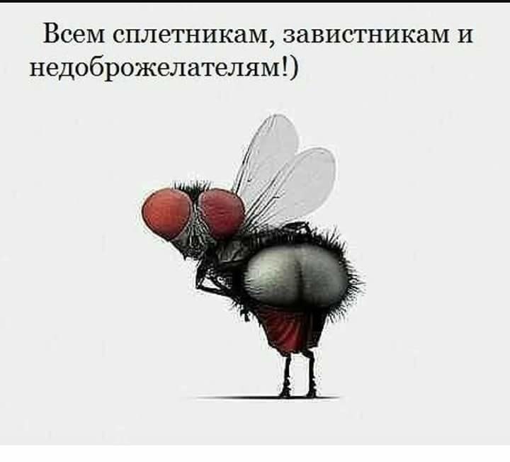 �������� - 5 ���� 2018 � 20:18