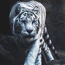 ���� ������, ������, 49 ��� - ��������� 21 ����� 2018 � ������ ���� ����������