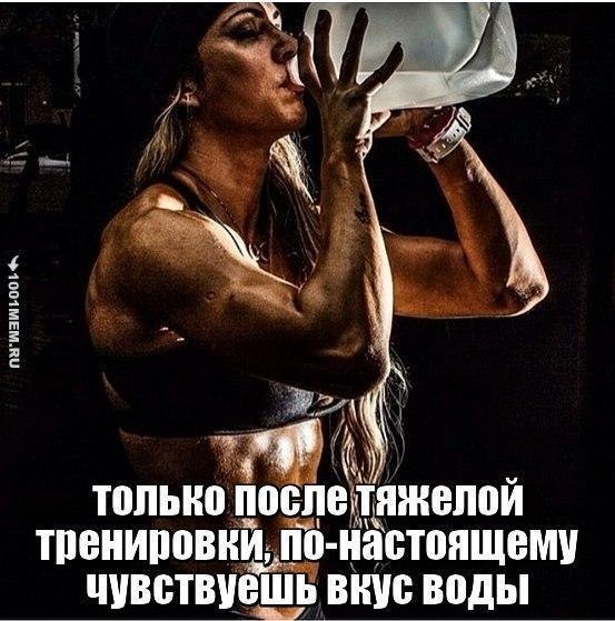  -   - 27  2017  03:46