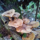���� Talka47, �������, 63 ���� - ��������� 7 ������ 2018