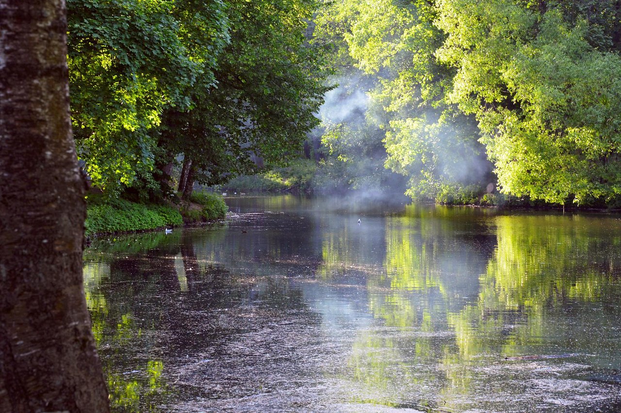 Все в тающей дымке: Холмы, перелески. Здесь краски не ярки И ...