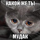 ���� Popkorn, �������� - ��������� 27 ������ 2017 � ������ ������ ��������