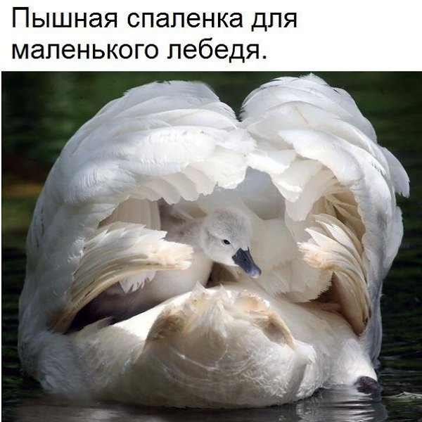 ������� - 14 ����� 2018 � 03:42