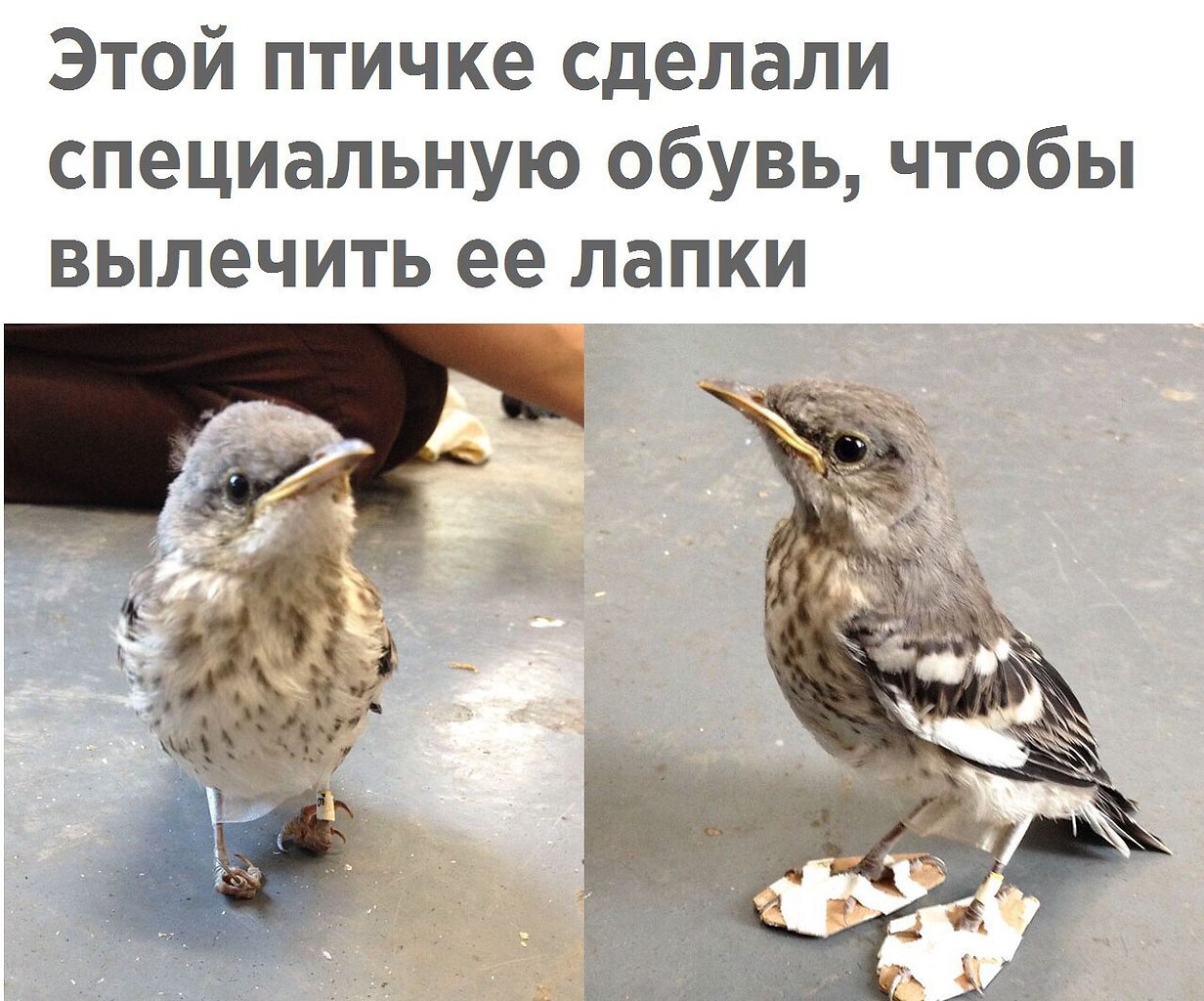   - 9  2018  03:45