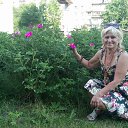 ���� ����, �����-��������� - ��������� 18 ���� 2018 � ������ ���� ����������