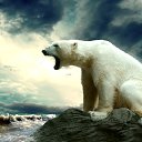 ���� ����, ������-��-����, 62 ���� - ��������� 22 ������ 2017 � ������ ������ ��������