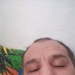 �������, 55 ���, ������������