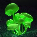 ���� �����, ����, 48 ��� - ��������� 2 ���� 2018