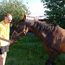  , , 42  -  1  2018   2018