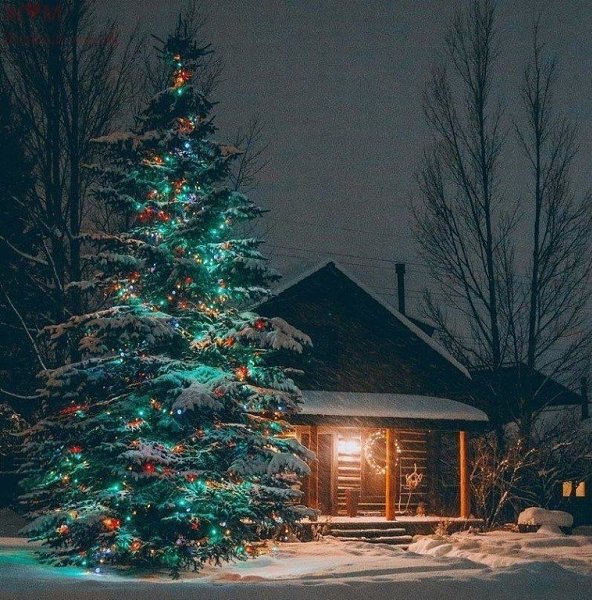Настроение: отключить телефон, взять любимую книгу и уехать в домик у леса... жм