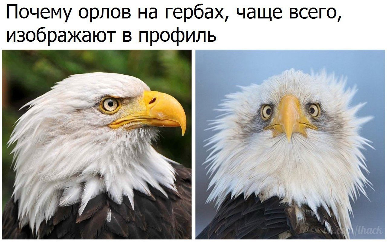  - 1  2018  03:42