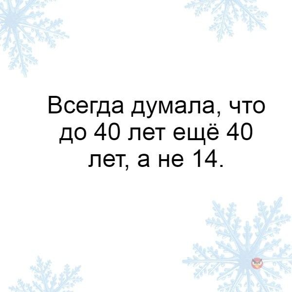   - 12  2017  03:55
