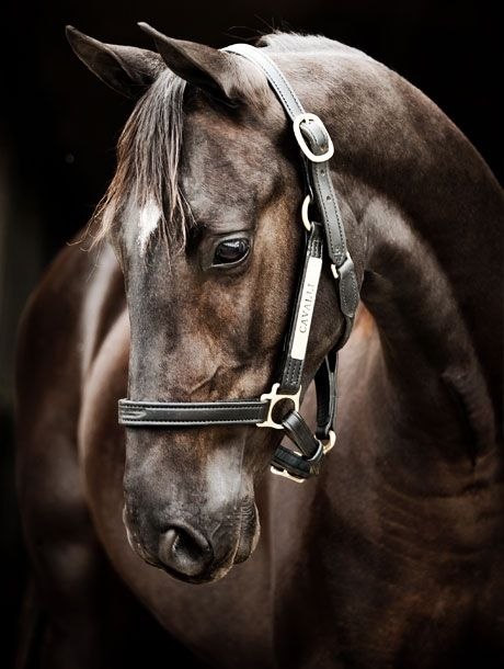  -   ! - 3  2018  02:33