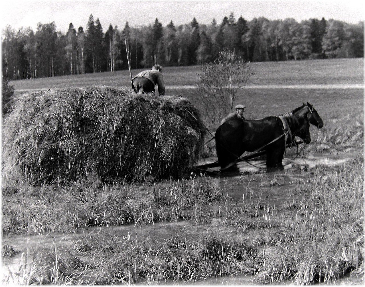 Изображение жизни советской деревни в литературе 1950 1980 х годов