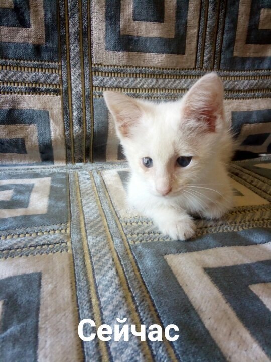 #_.2            ,  3 ... - 2