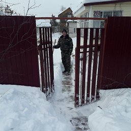 �������, ������, 71 ���