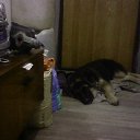 ���� �������, �������, 53 ���� - ��������� 24 ������ 2018 � ������ ���� ����������