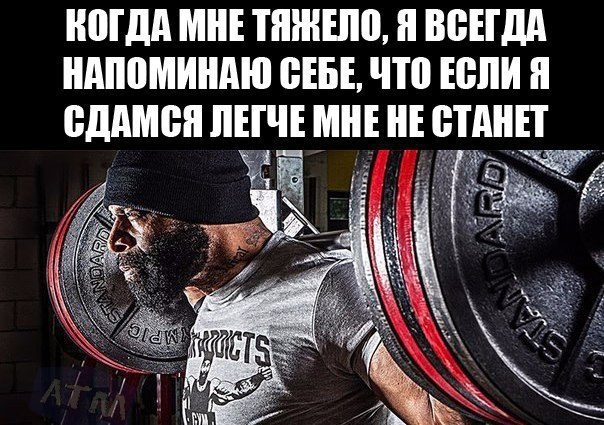 SportFeed - 4  2018  04:33