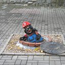 ���� ������� ������, ������, 59 ��� - ��������� 2 ������� 2017 � ������ ���� ����������