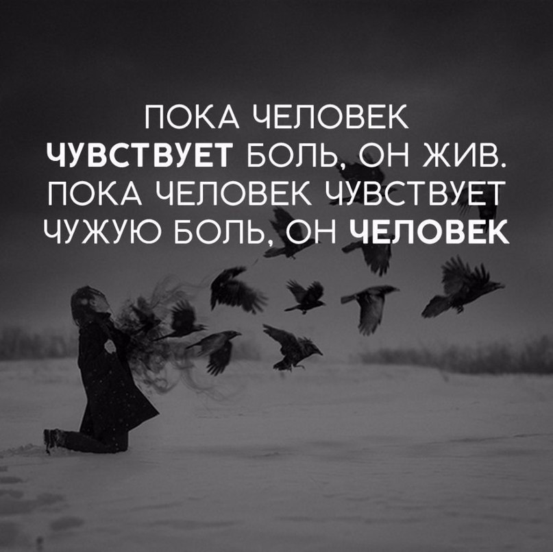     - 13  2018  03:54