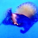  ,  -  13  2017        »