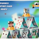 ���� ����, ������������, 63 ���� - ��������� 13 ��� 2018 � ������ �������� �������-�������
