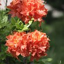  , , 68  -  23  2018    2018