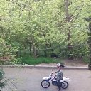 ���� ������ ������������, ����������, 71 ��� - ��������� 22 ������� 2018 � ������ ���� ����������