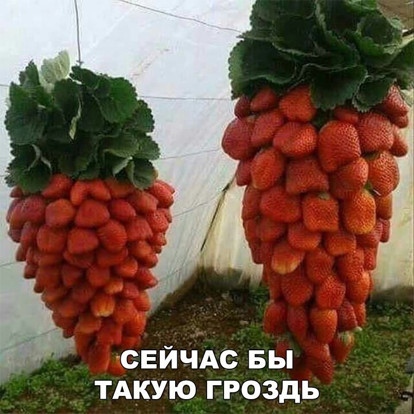    :D - 19  2017  03:36