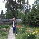 ���� Koha, �����-���������, 53 ���� - ��������� 6 ���� 2018