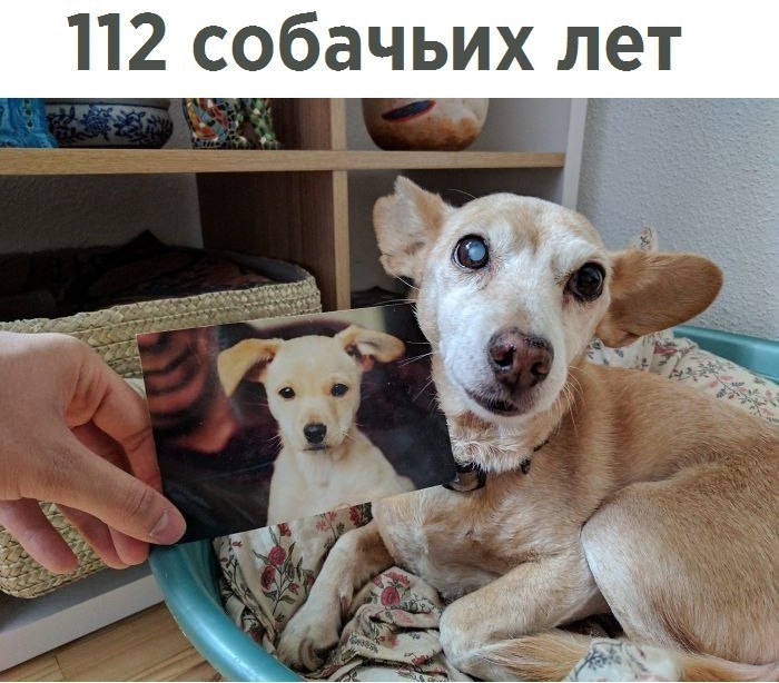 LIFE -  - 15  2018  08:08
