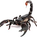 ���� ������, ������, 47 ��� - ��������� 28 ����� 2018 � ������ ���� ����������