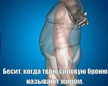 SportFeed - 17  2017  03:51