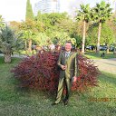 ���� ������, ������, 65 ��� - ��������� 6 ������� 2017 � ������ ���� ����������