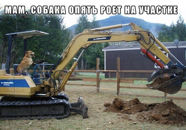!