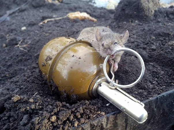 S.T.A.L.K.E.R. - 25  2018  19:21