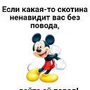 ���� ��������, �������, 40 ��� - ��������� 3 ��� 2018 � ������ ������ ��������