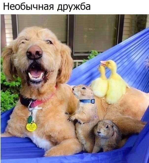    !  ! - 3